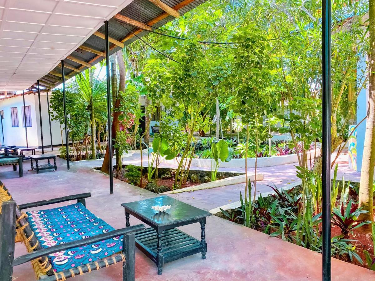 Papaya Guest House נונגווי מראה חיצוני תמונה
